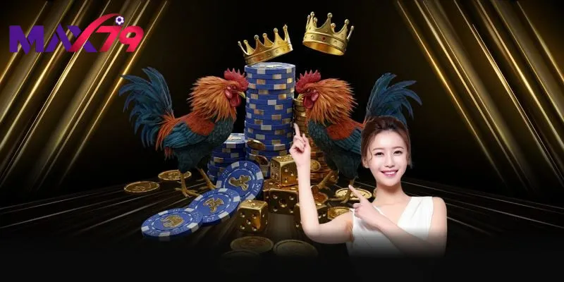 Lưu ý khi đăng nhập max79